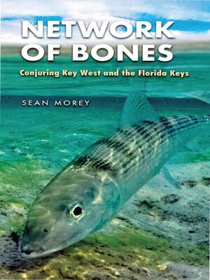 cover image of Network of Bones